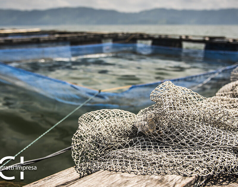Socio di cooperativa o lavoratore subordinato?
